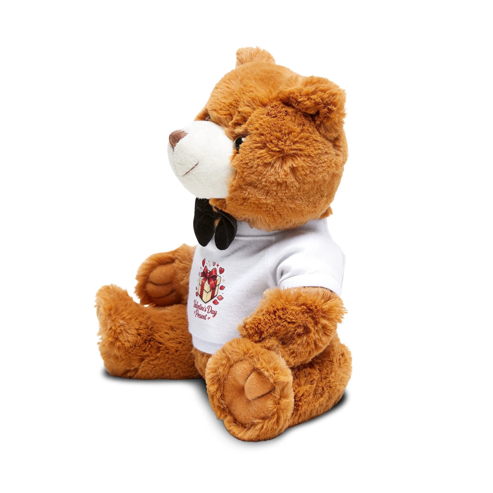 Valentine's Day Gift Teddy Bear with 'Valentine's Day Present' T-Shirt