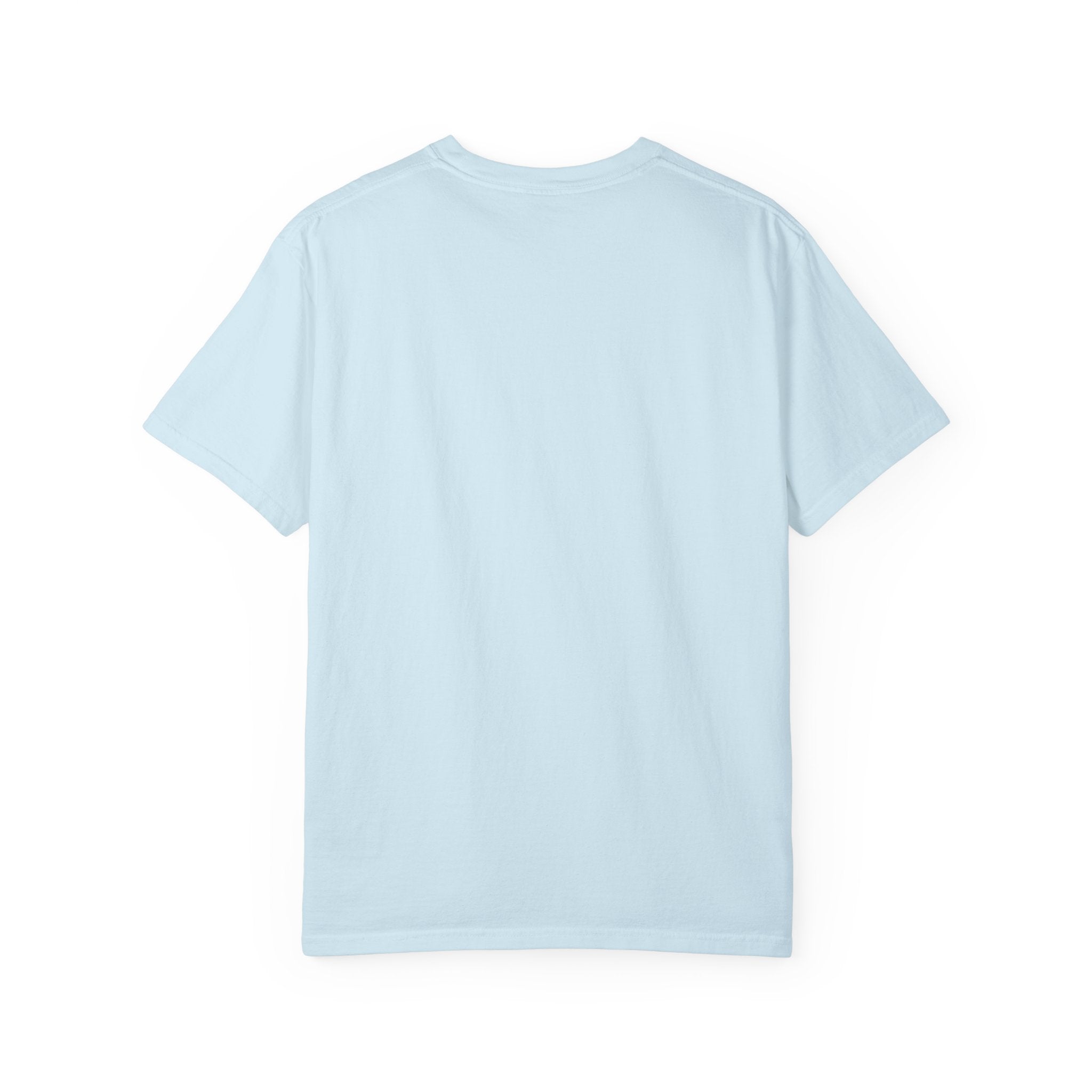Gay Pride Rainbow Tee - Garment Dyed Comfort Colors - DipaliZ