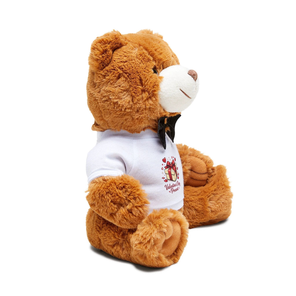 Valentine's Day Gift Teddy Bear with 'Valentine's Day Present' T-Shirt