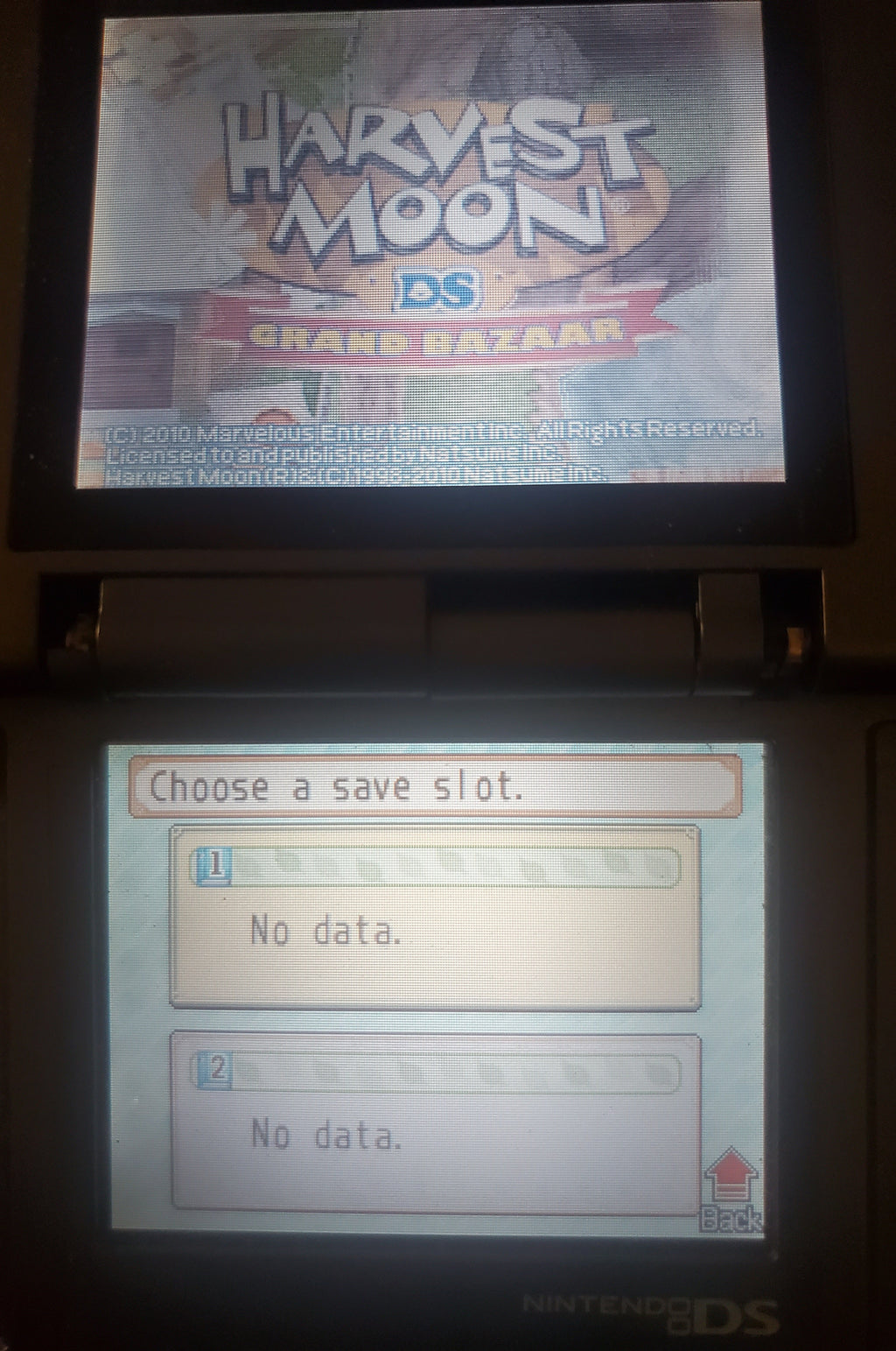 Harvest Moon DS Grand Bazaar Video Game Nintendo DS 2010
