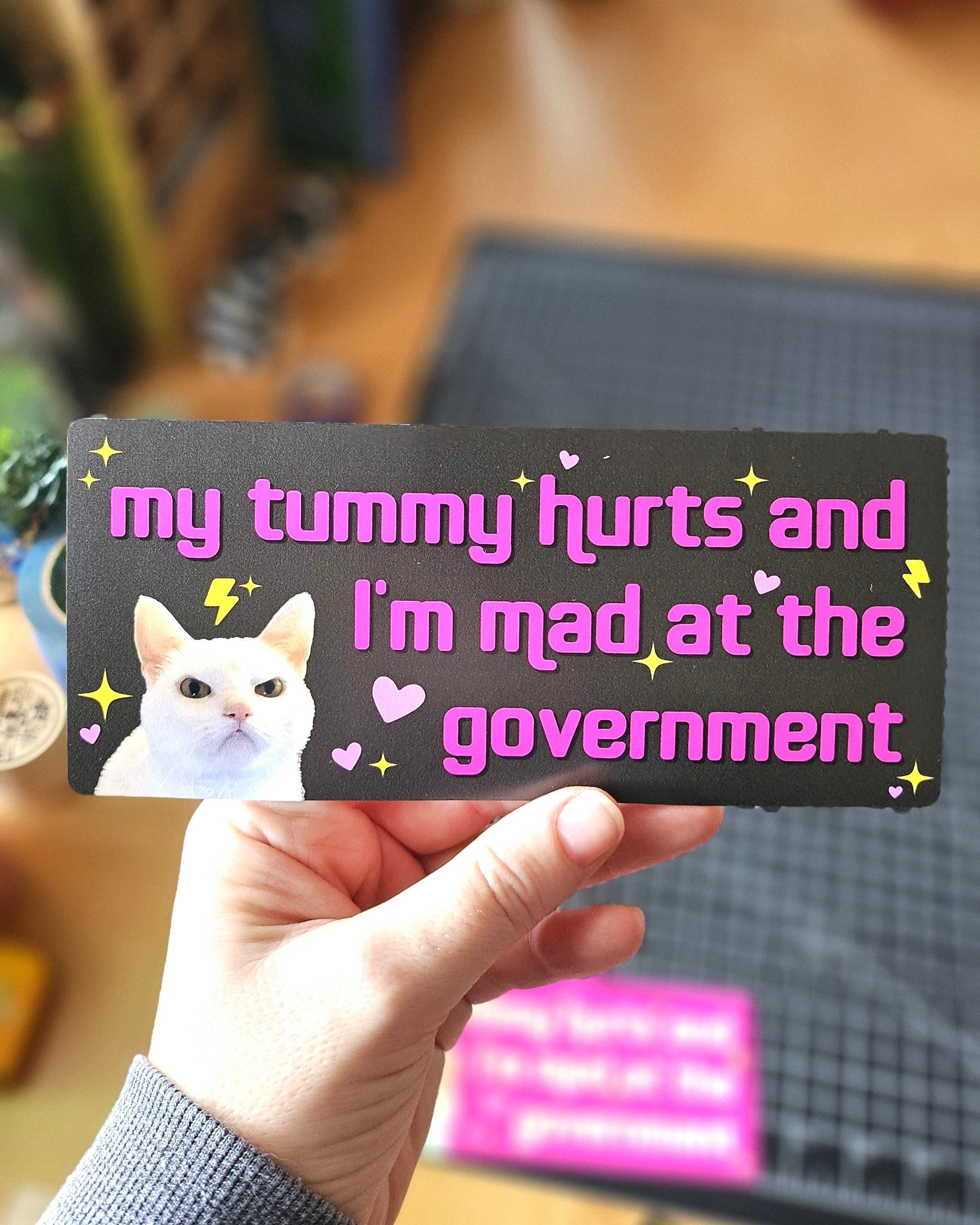 My Tummy Hurts and I'm Mad at the Government Funny 7" Bumper Sticker or Magnet
