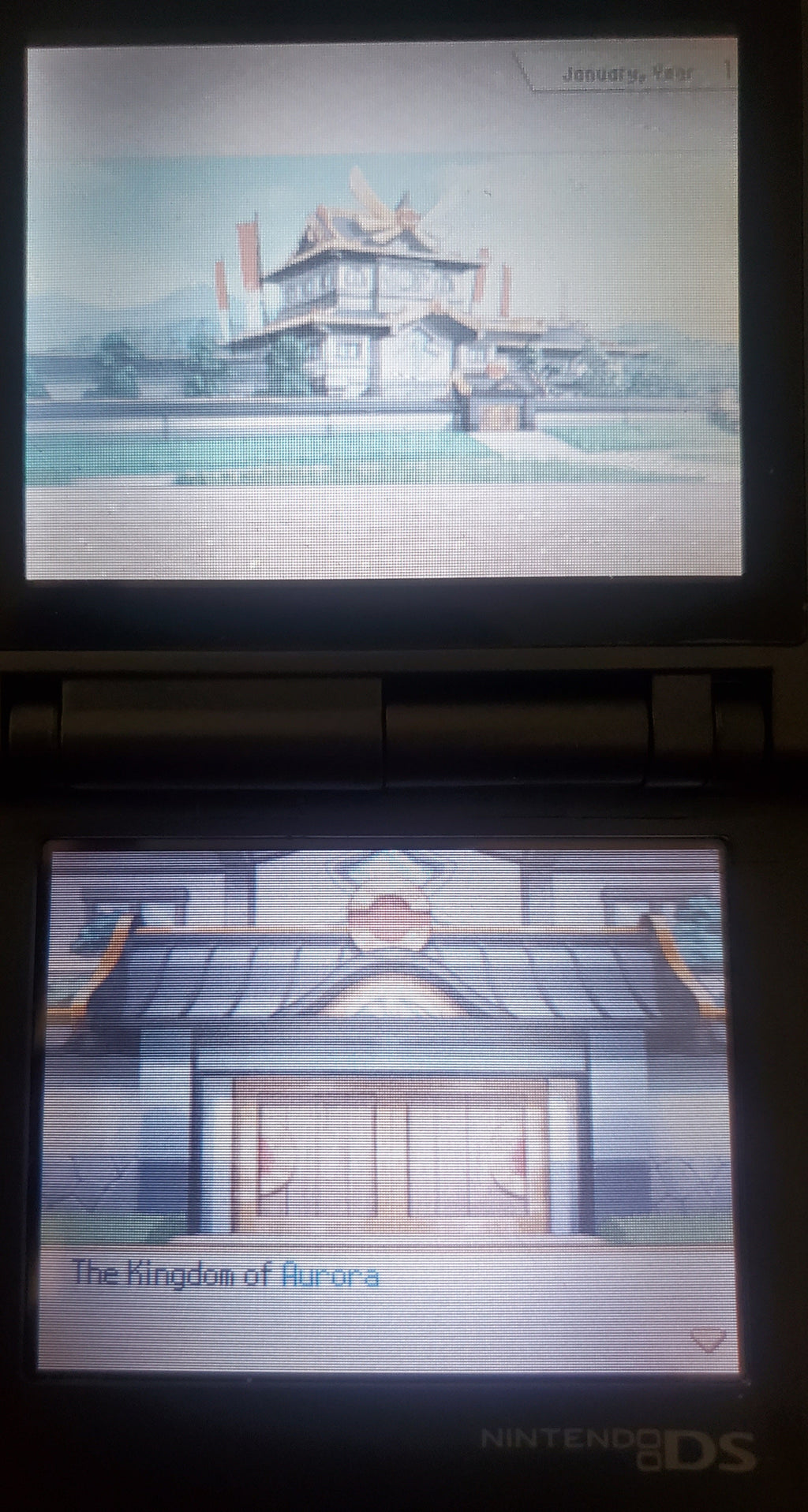 Pokemon Conquest Video Game Nintendo DS 2012