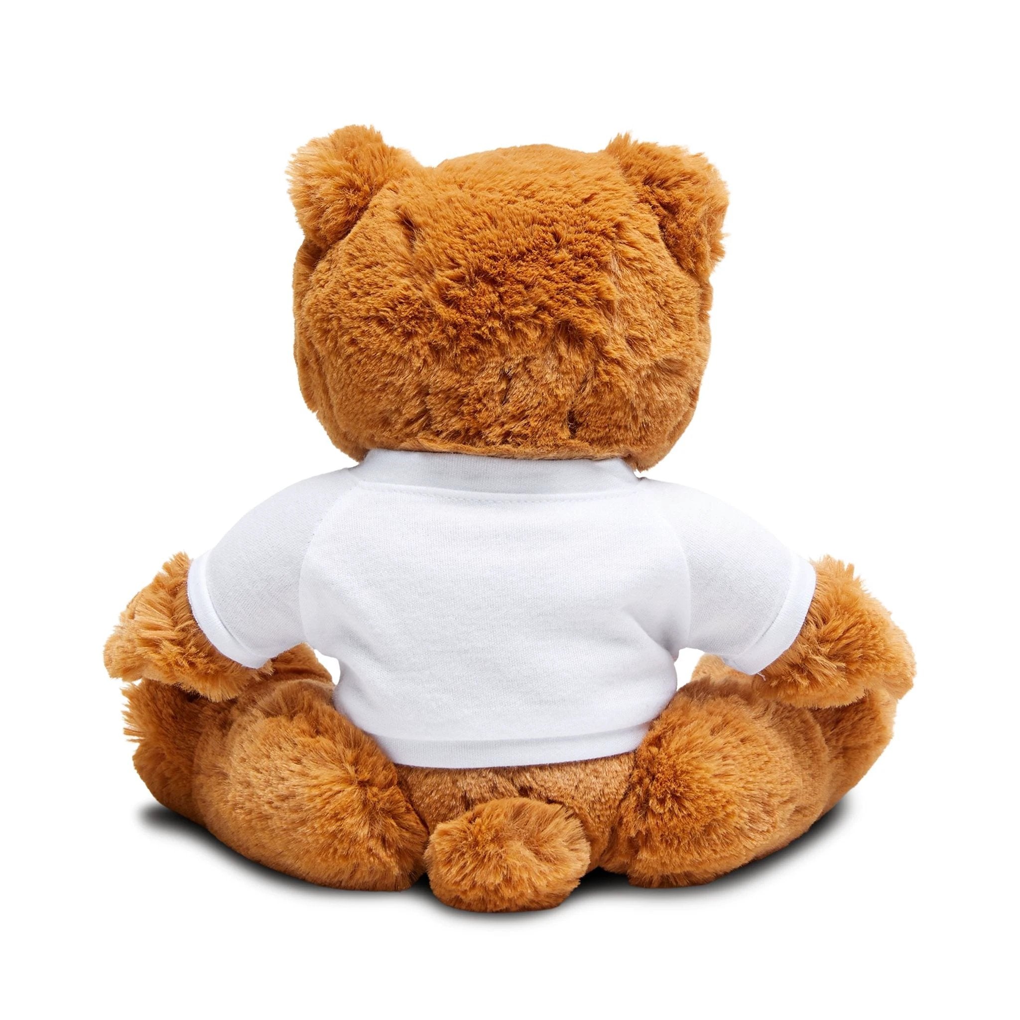 Valentine's Day Gift Teddy Bear with 'Valentine's Day Present' T-Shirt