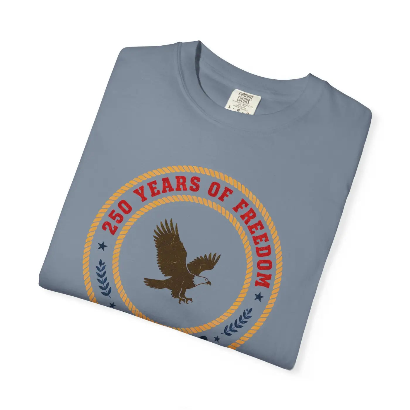 Freedom Eagle Independence Commemorative Vintage Tee - DipaliZ