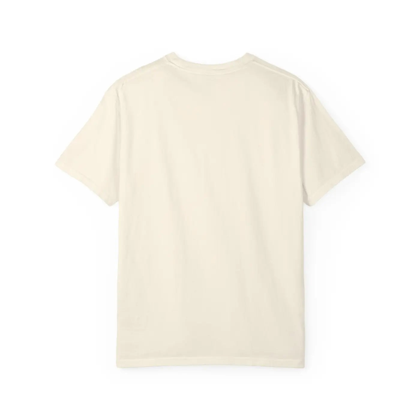 Freedom Eagle Independence Commemorative Vintage Tee - DipaliZ