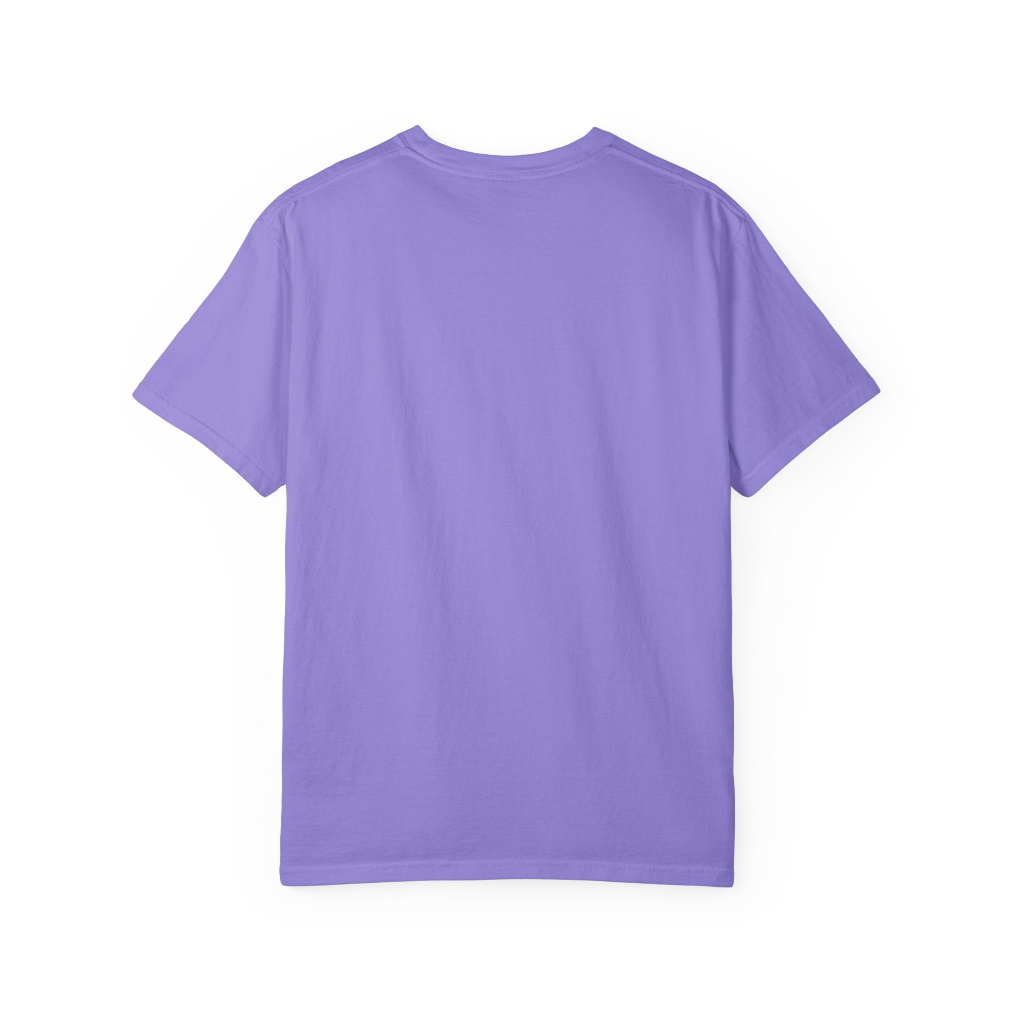 Gay Pride Rainbow Tee - Garment Dyed Comfort Colors - DipaliZ