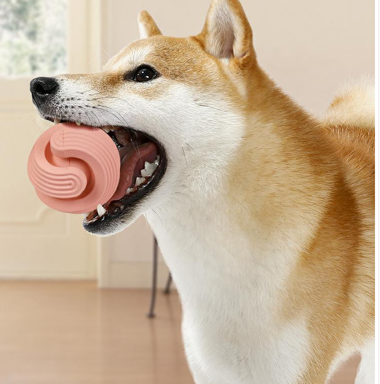 Rubber Dog Molars Teeth Relief Bouncy Ball