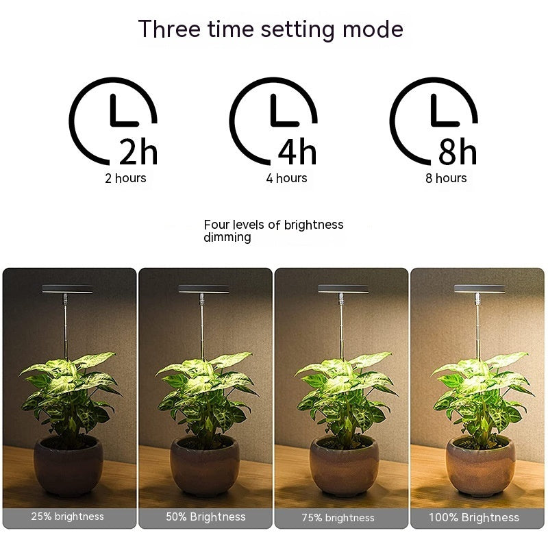 USB Angel Ring Plant Lamp Timing Dimming Height