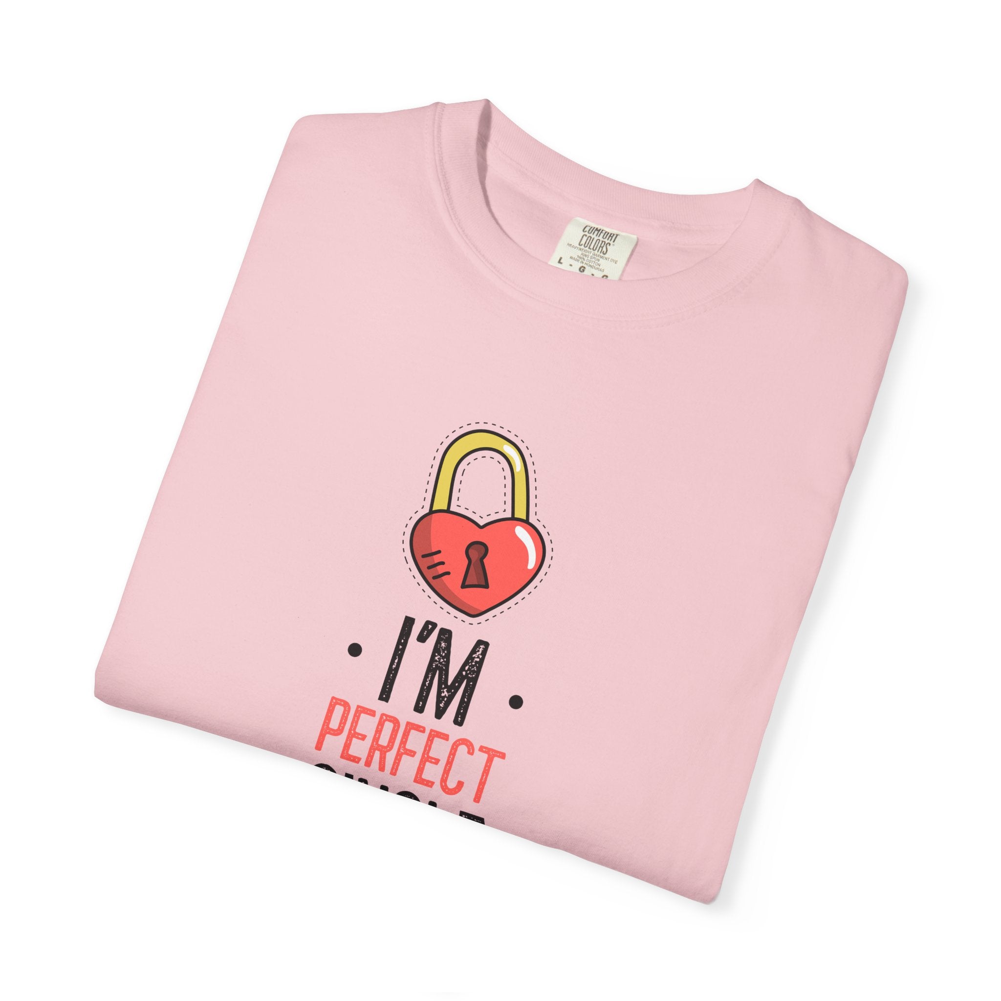 I Am Perfect Single Unisex Garment Dyed Tee - DipaliZ
