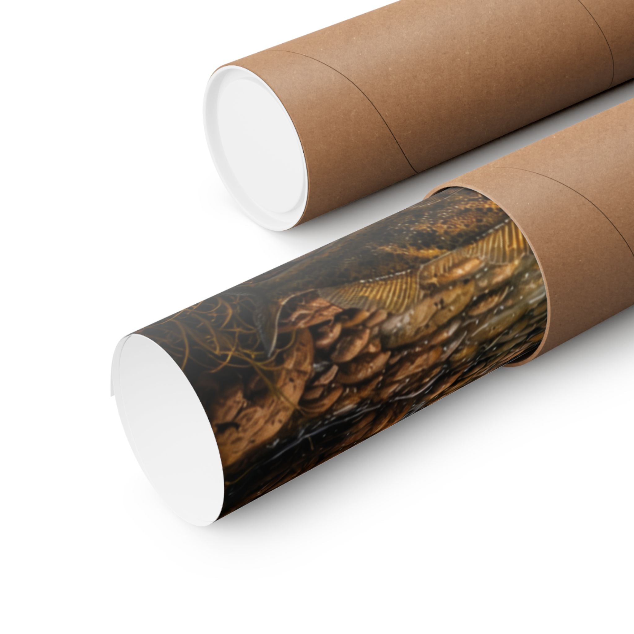 Scenic Trout Stream Matte Poster — Mountain River Landscape Wall Art