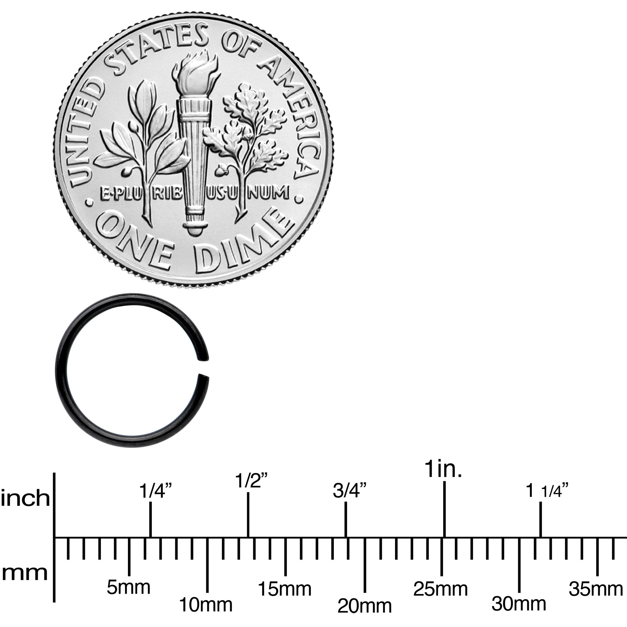 20G 5/16 Steel Black Anodized Seamless Circular Ring Set of 12