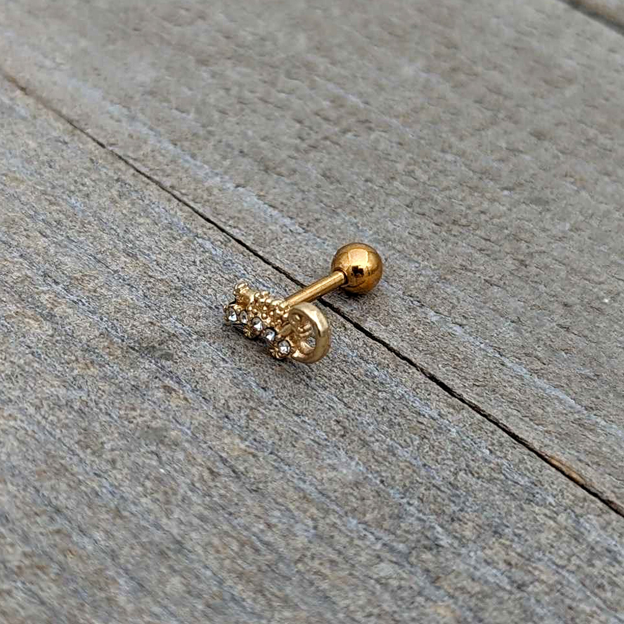 16G 1/4 Clear Gem Gold Tone Luscious Lizard Cartilage Earring