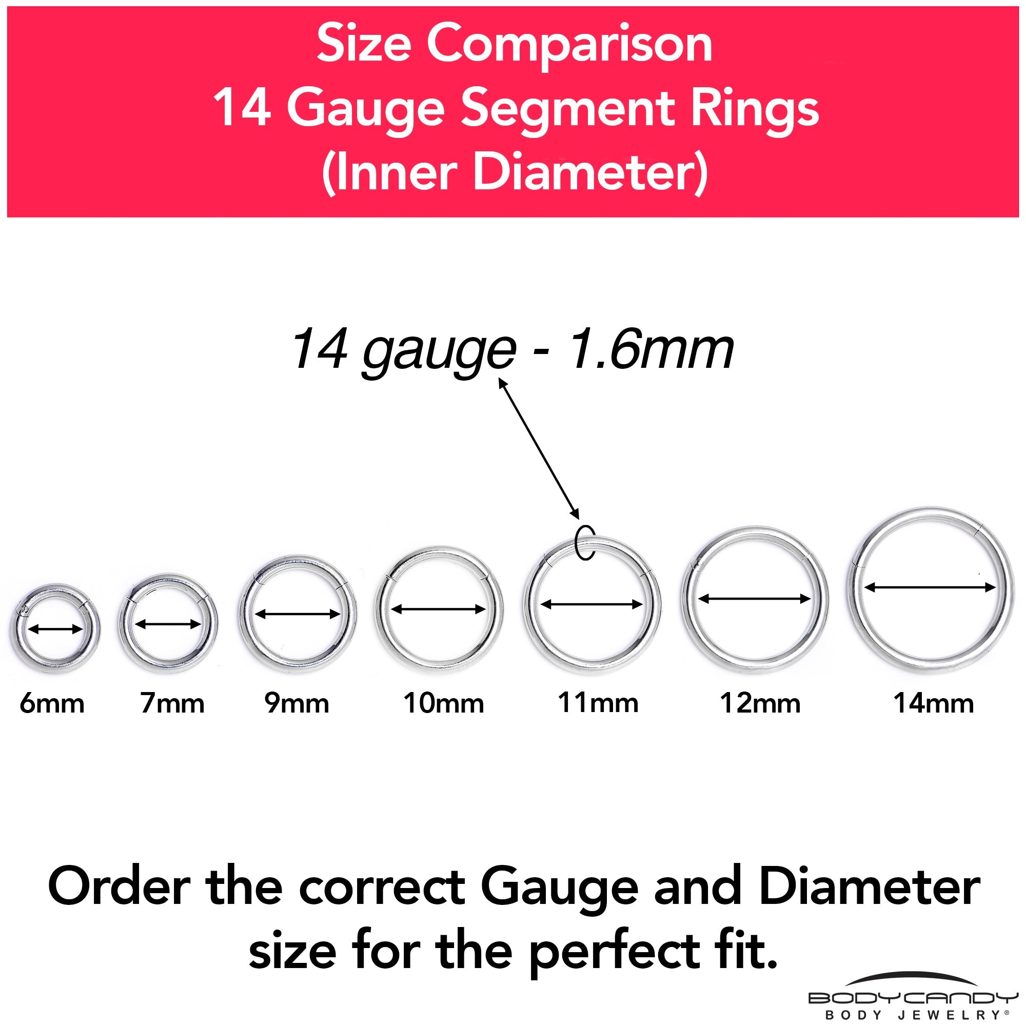 14G 9/16 316L Surgical Steel Precision Hinged Segment Hoop