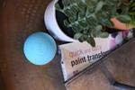 Maji Sports Trigger Point Single Massage Ball