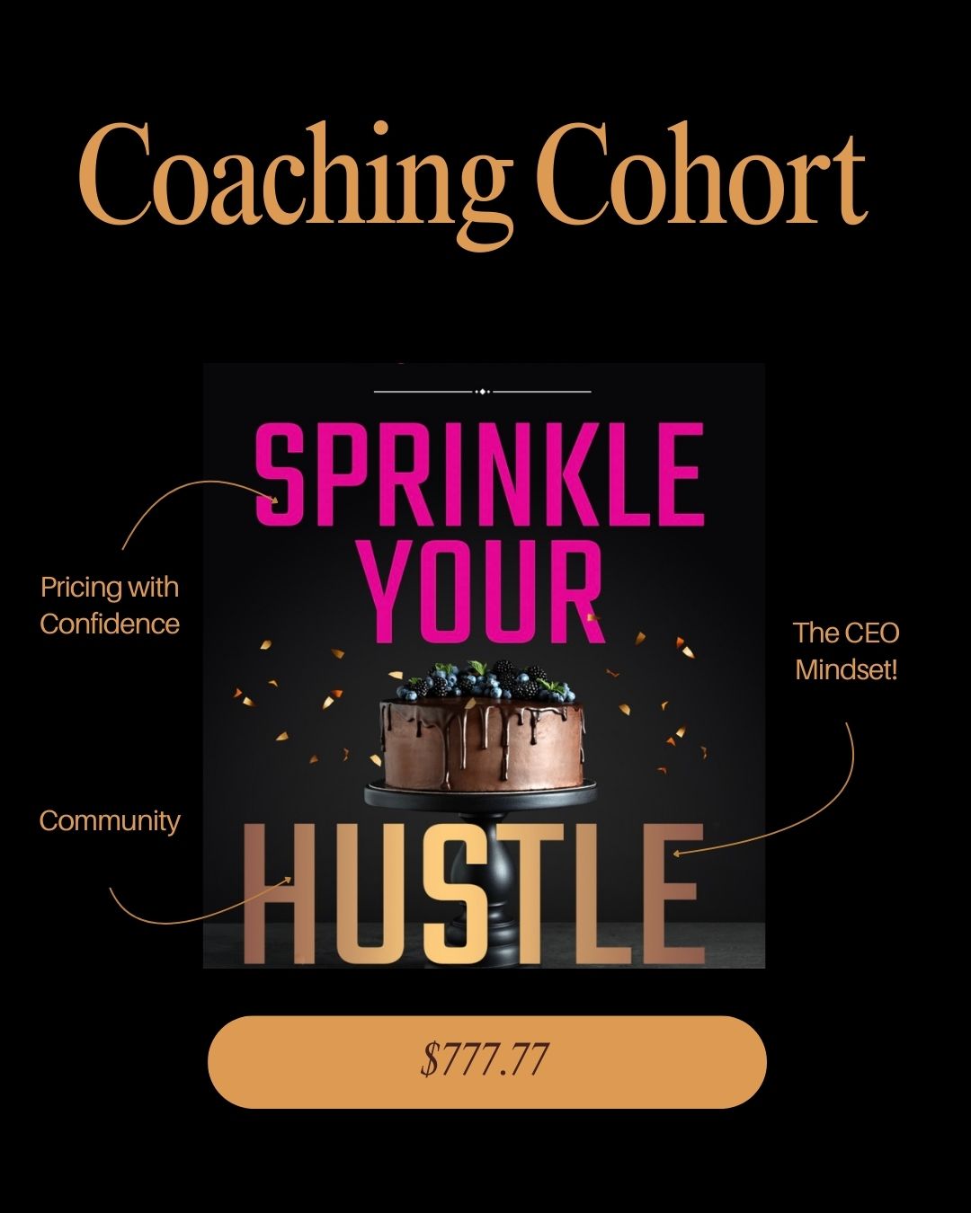 Sprinkle Your Hustle — Coaching Cohort — $777.77