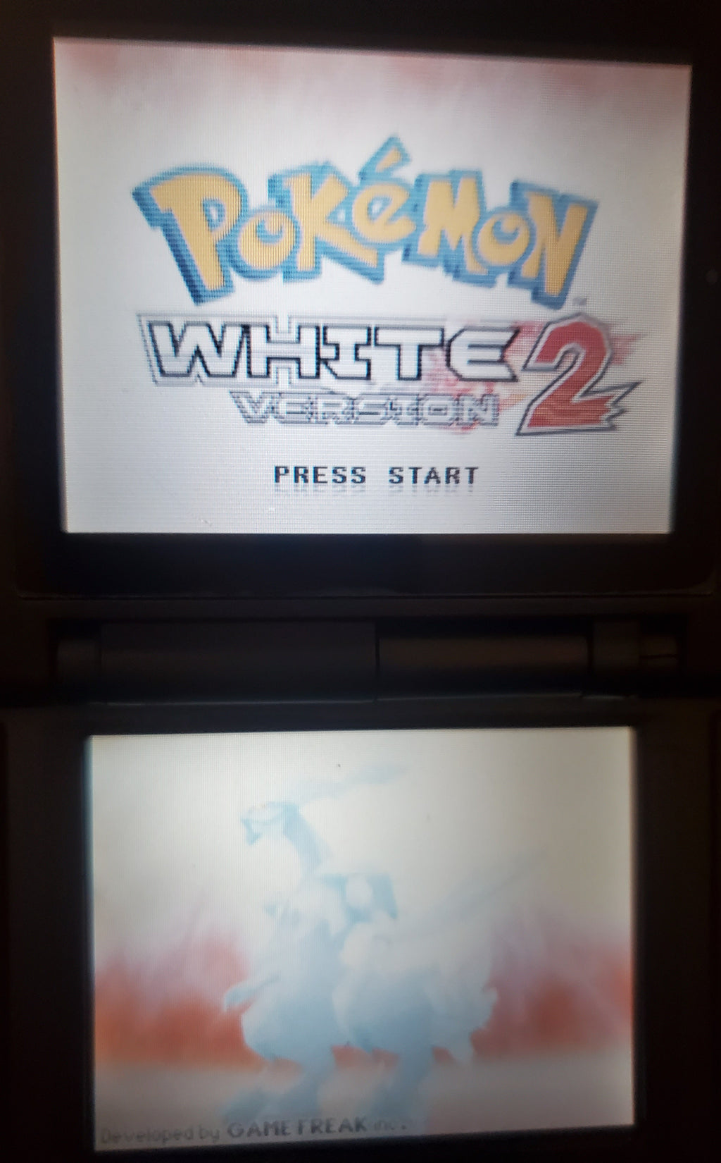 Pokemon Volt White 2 Video Game Nintendo DS ROM Hack