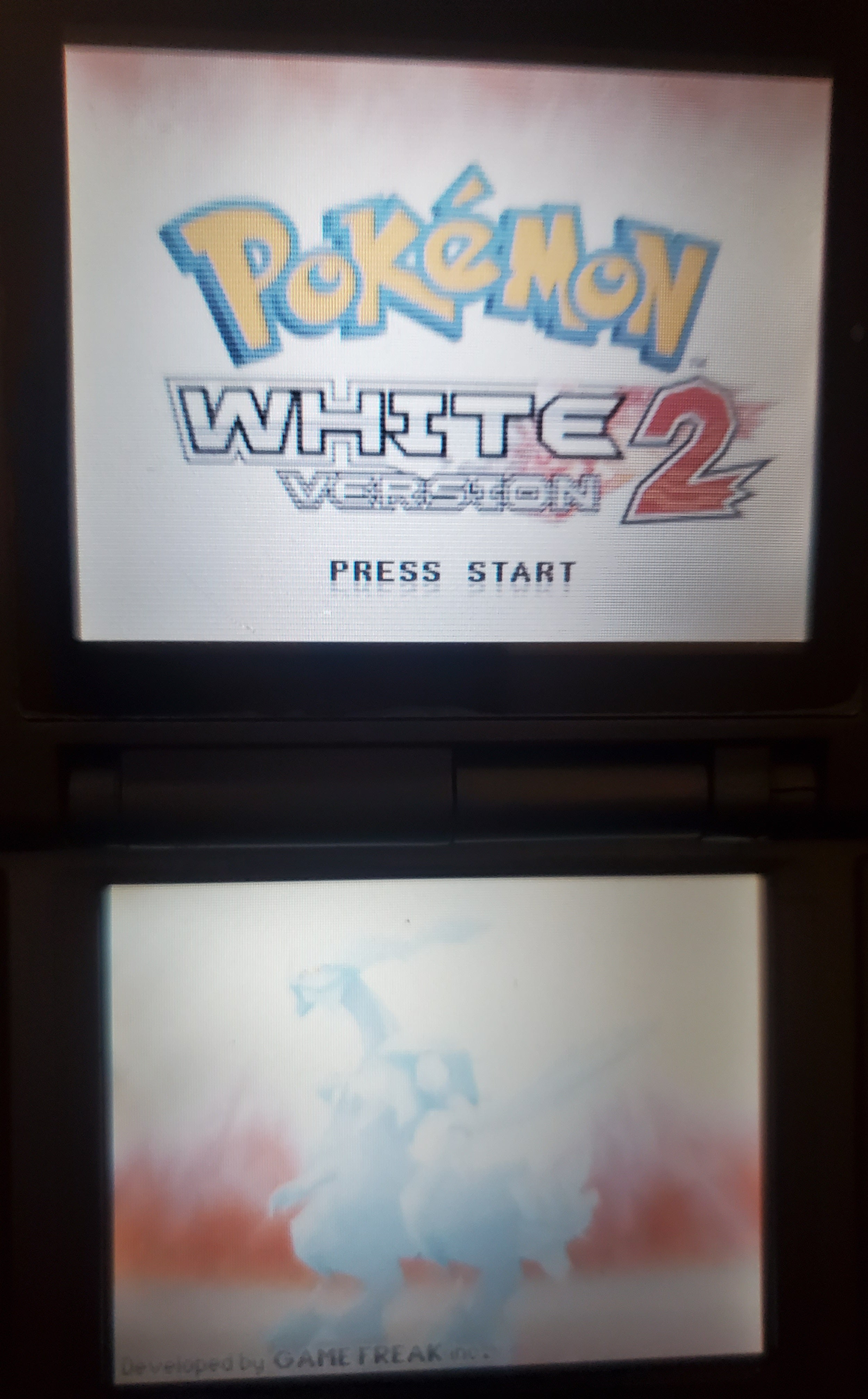 Pokemon Volt White 2 Video Game Nintendo DS ROM Hack