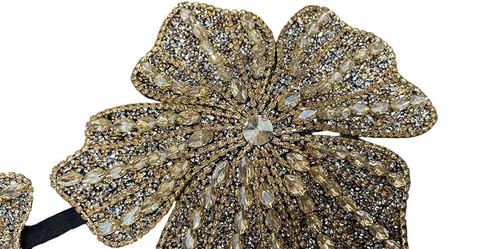 Handmade Crystal Flower Embroidery Rhinestone Costume Bra