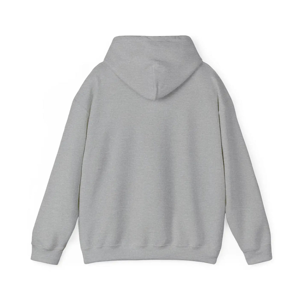 Unisex Heavy Blend™ Hooded Sweatshirt - Ambitious Women - DipaliZ