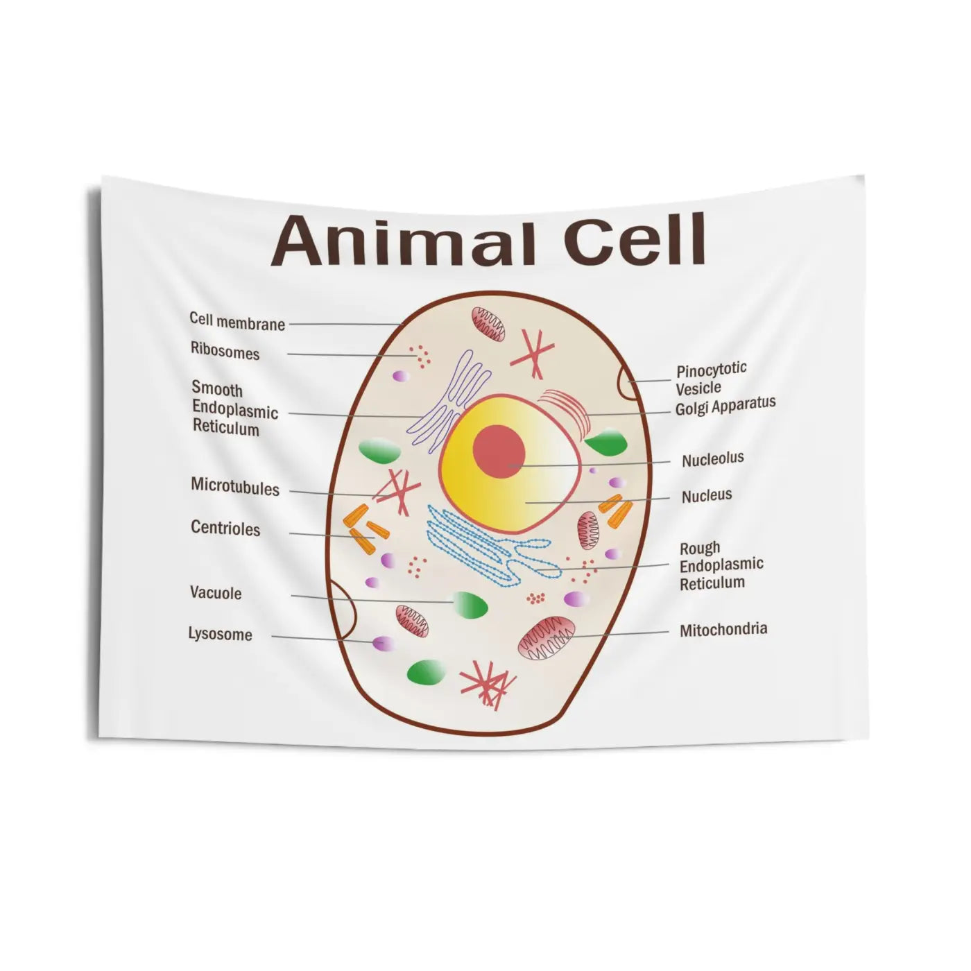 Animal Cell Educational Wall Tapestry - Science Decor - DipaliZ