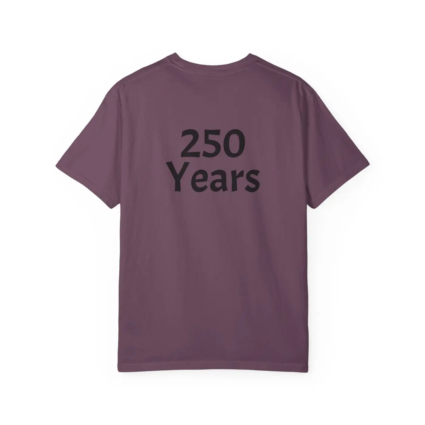 250 Years Commemorative Tee - Garment Dyed Vintage Feel - DipaliZ