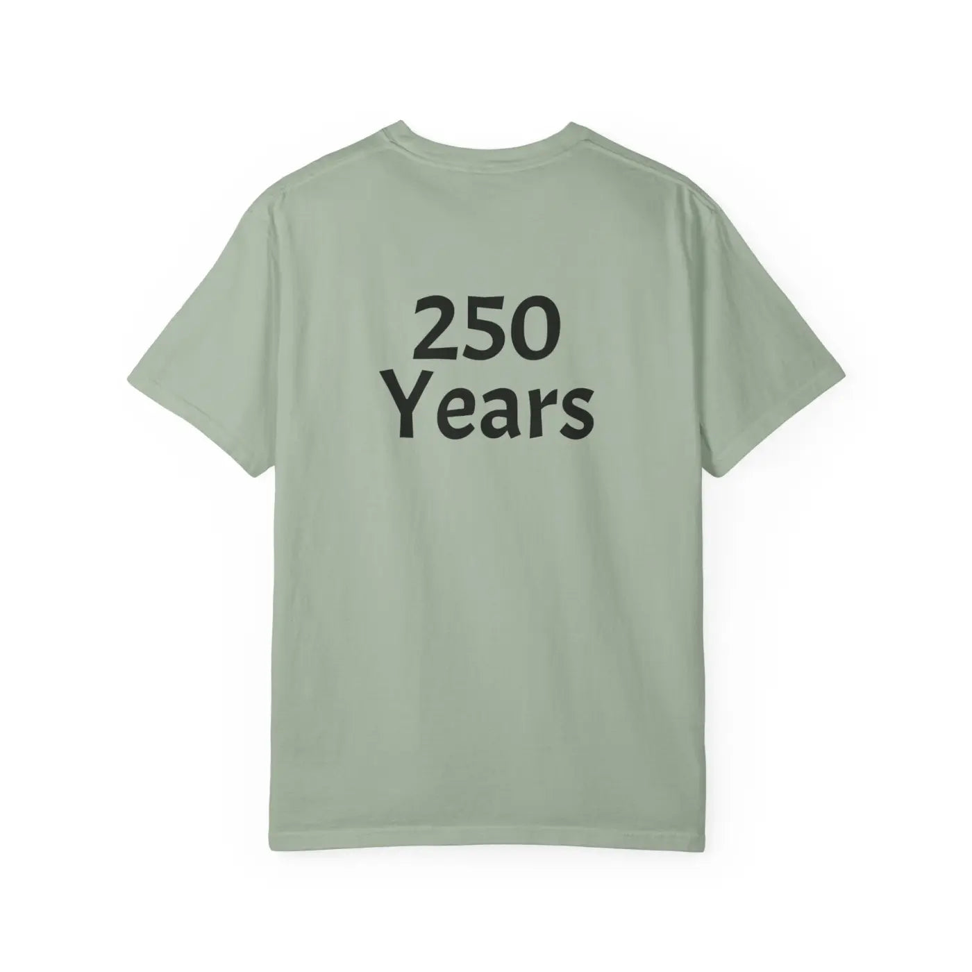 250 Years Commemorative Tee - Garment Dyed Vintage Feel - DipaliZ
