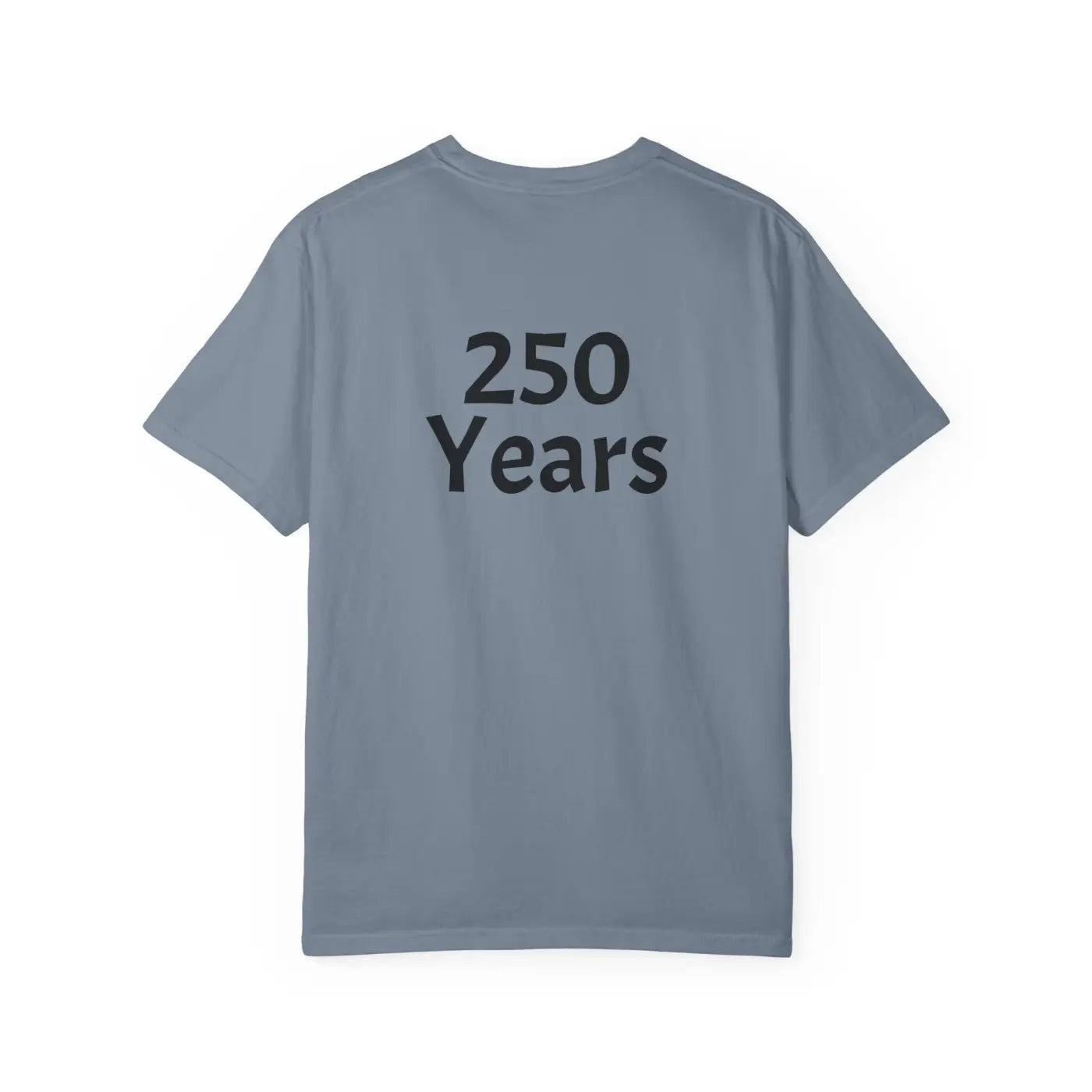 250 Years Commemorative Tee - Garment Dyed Vintage Feel - DipaliZ