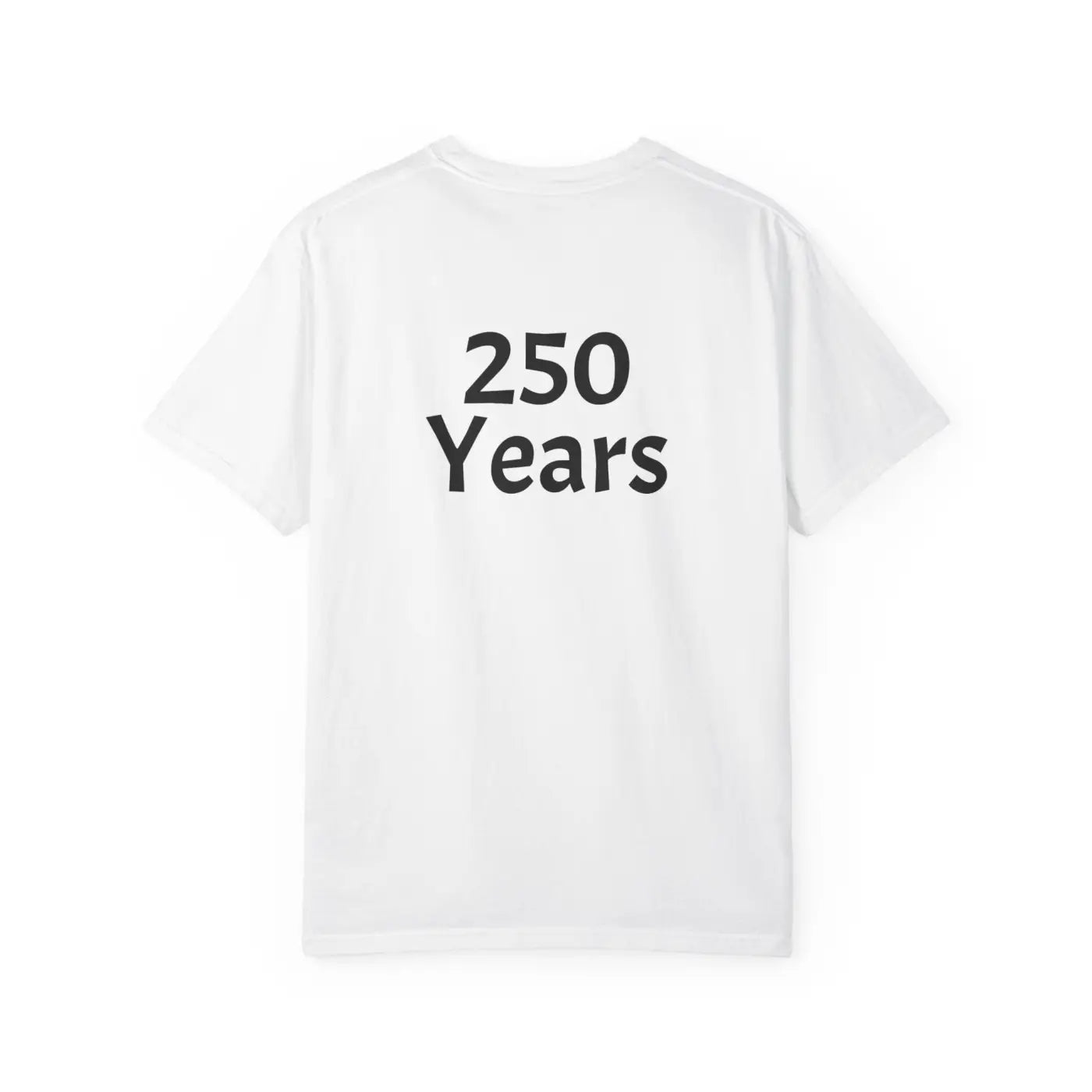 250 Years Commemorative Tee - Garment Dyed Vintage Feel - DipaliZ