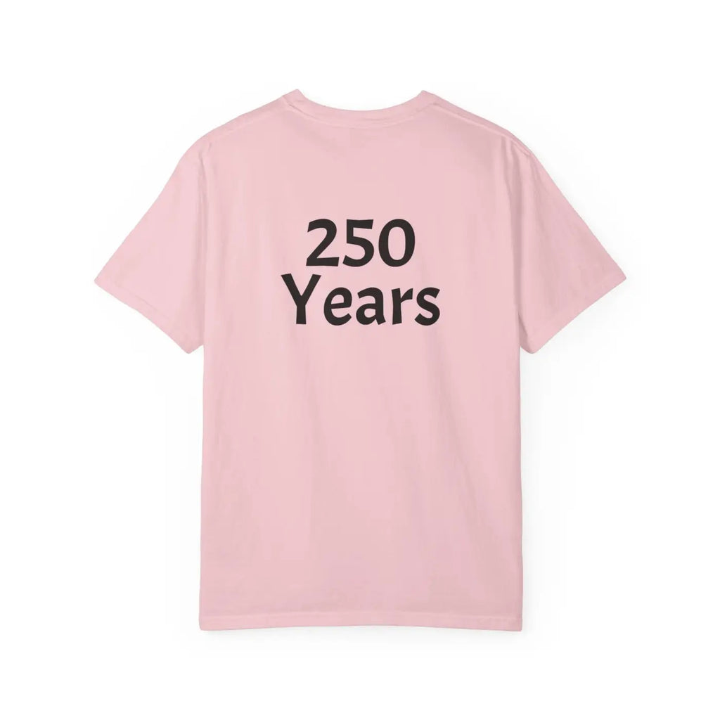 250 Years Commemorative Tee - Garment Dyed Vintage Feel - DipaliZ