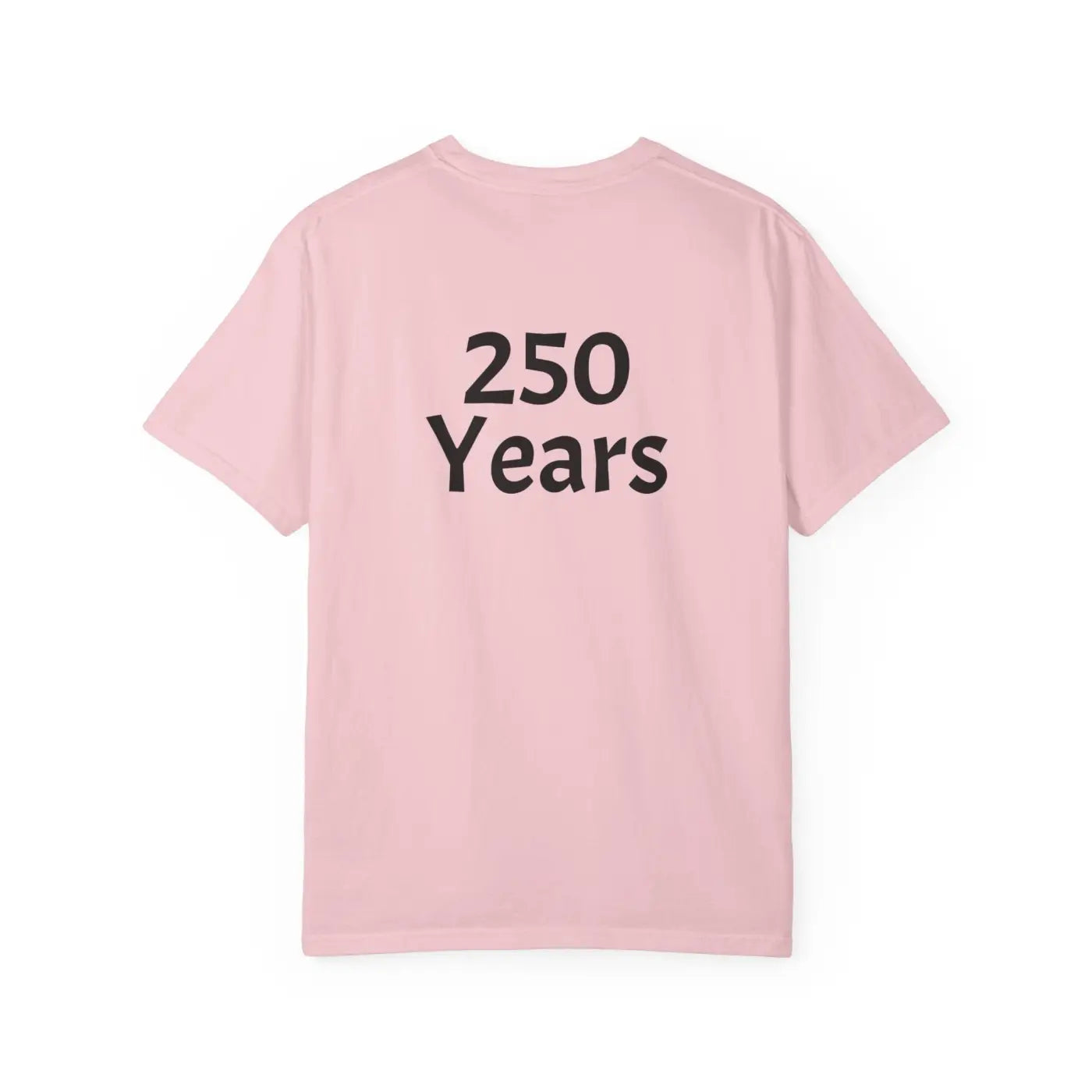 250 Years Commemorative Tee - Garment Dyed Vintage Feel - DipaliZ