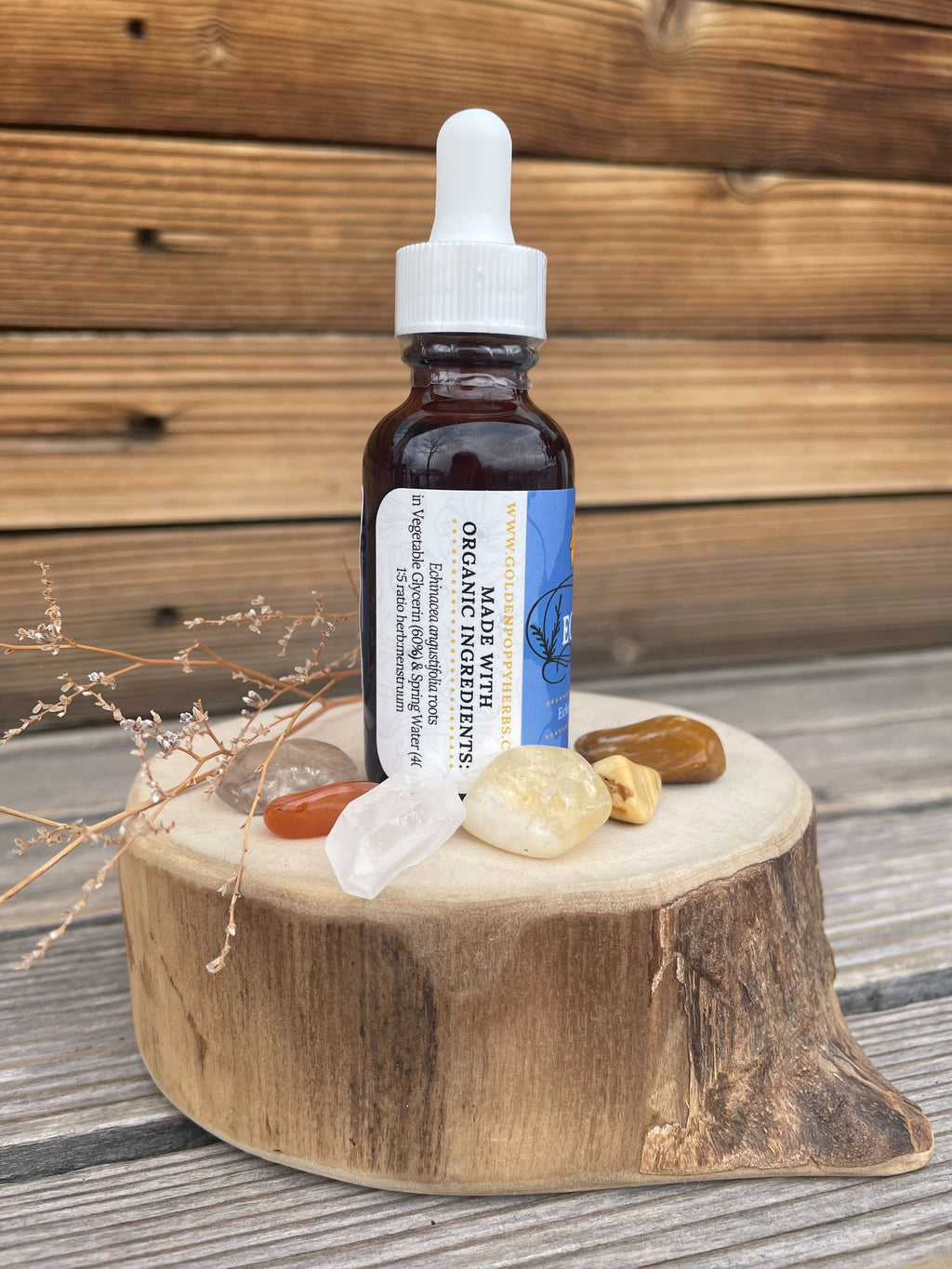 Echinacea Root Glycerite, 1 oz bottle