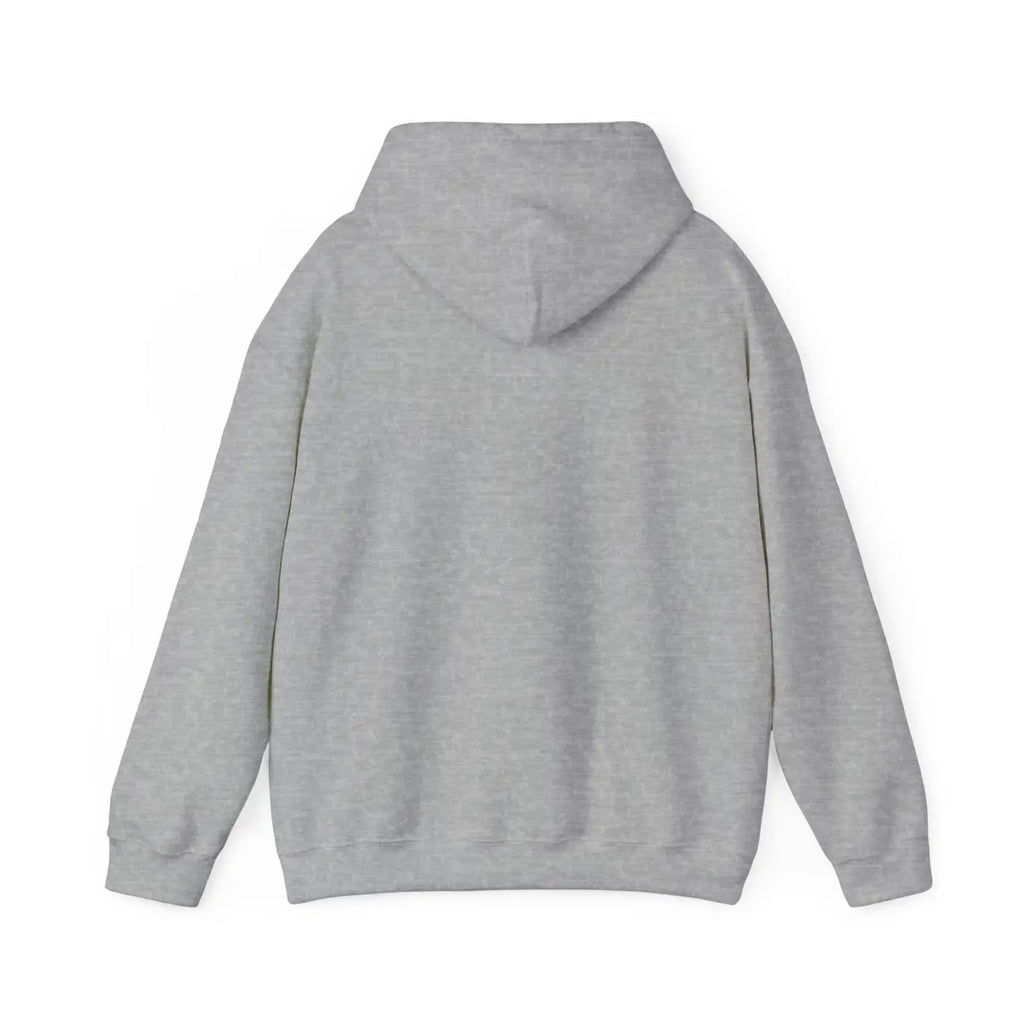 Unisex Heavy Blend Hoodie - Kangaroo Pouch Comfort - DipaliZ