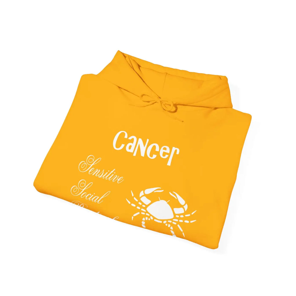 Cancer Zodiac Sign Hoodie - Unisex Heavy Blend - DipaliZ