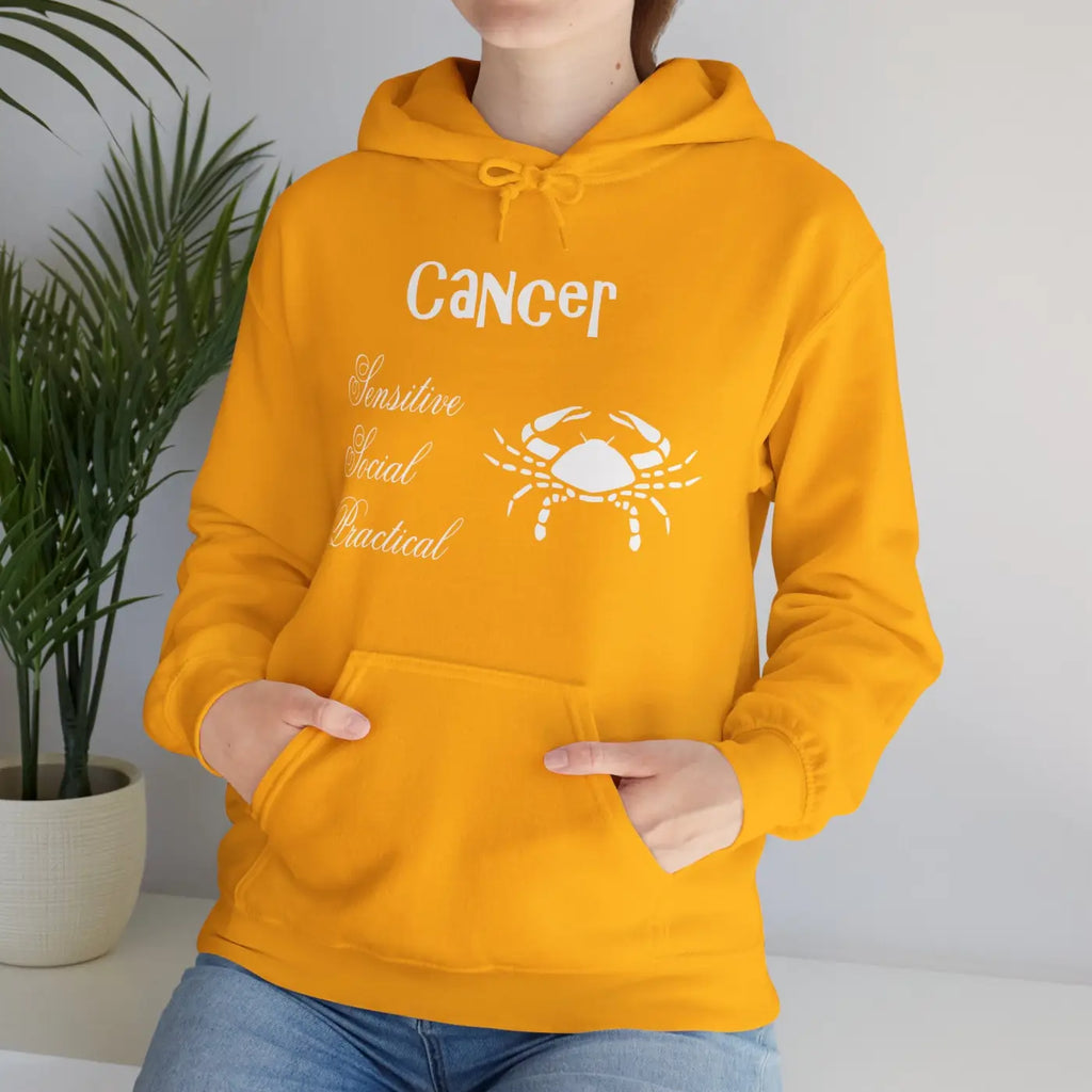 Cancer Zodiac Sign Hoodie - Unisex Heavy Blend - DipaliZ