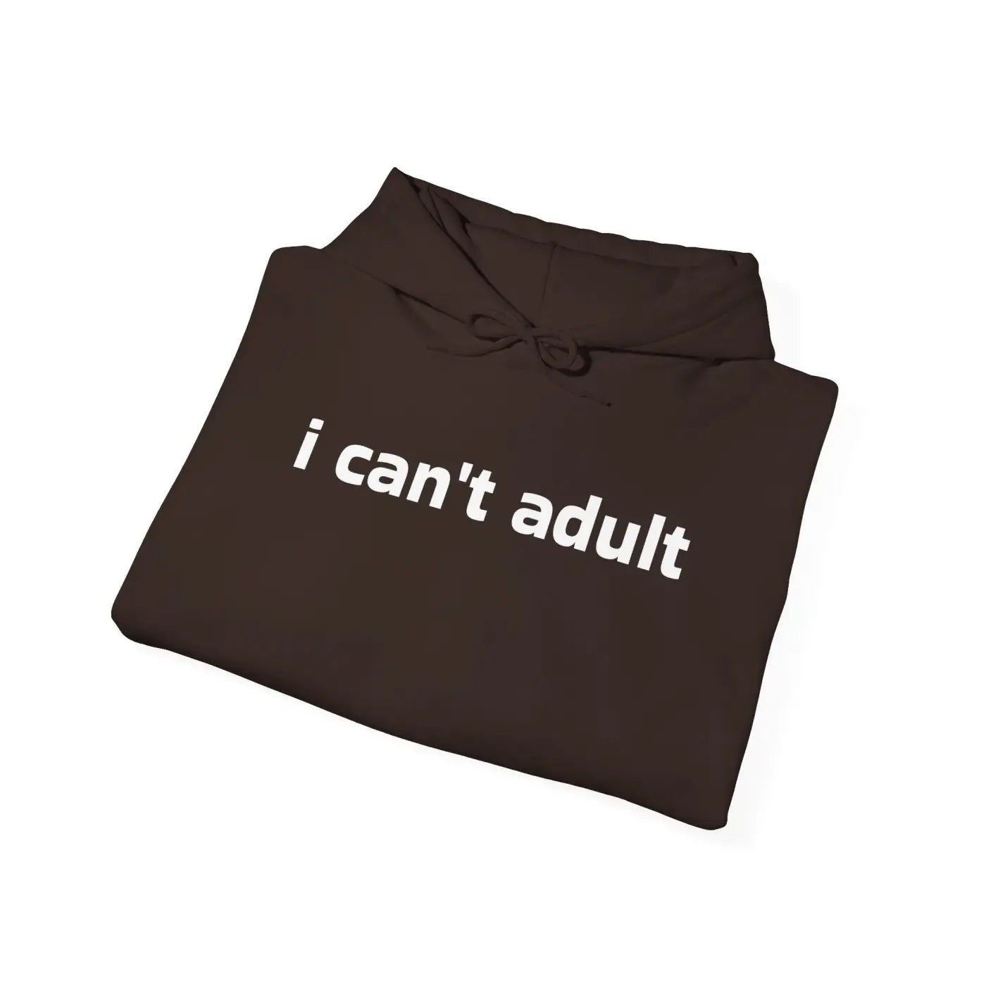 Funny Hooded Sweatshirt - Everyday Comfort Casual Hoodie - DipaliZ