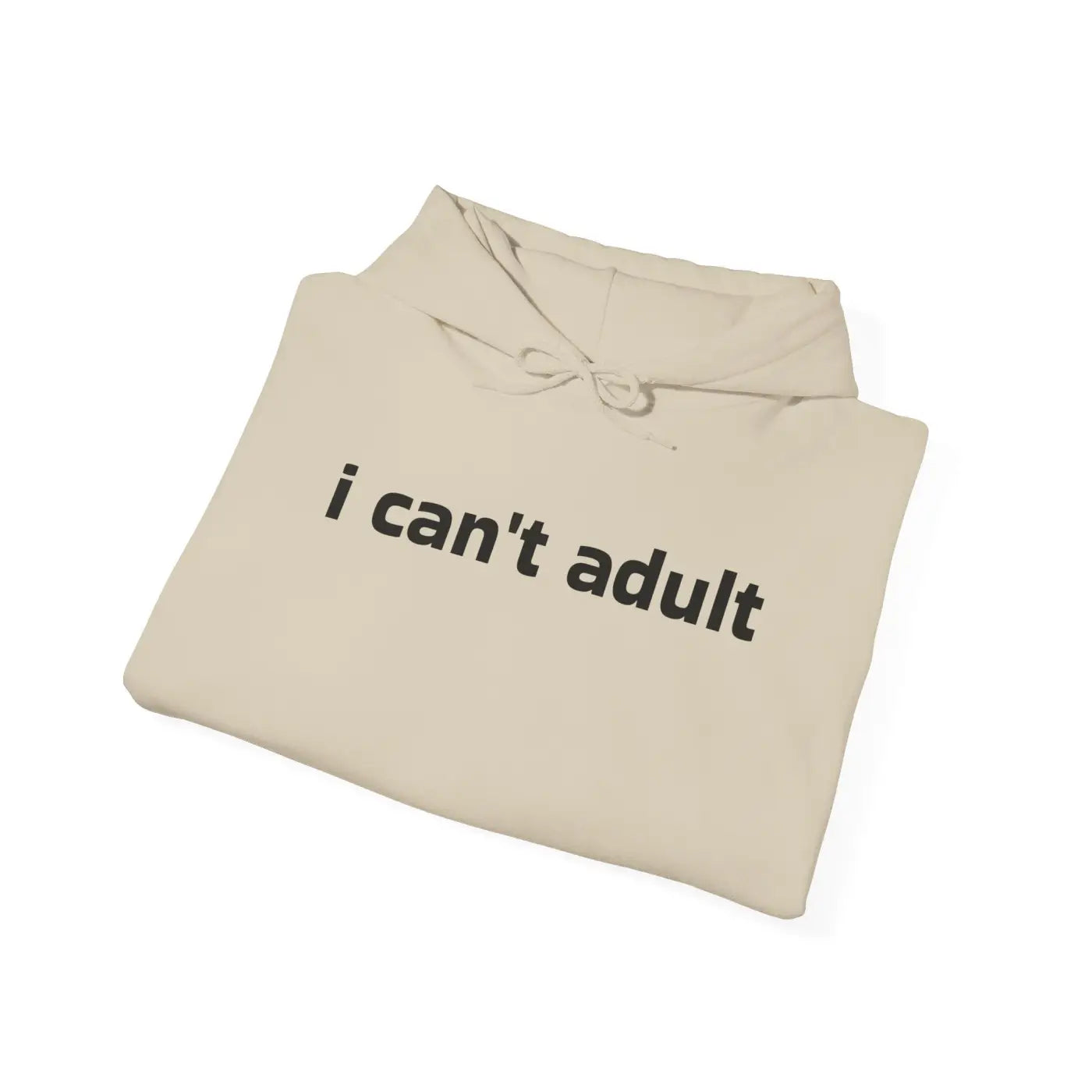 Funny Hooded Sweatshirt - Everyday Comfort Casual Hoodie - DipaliZ