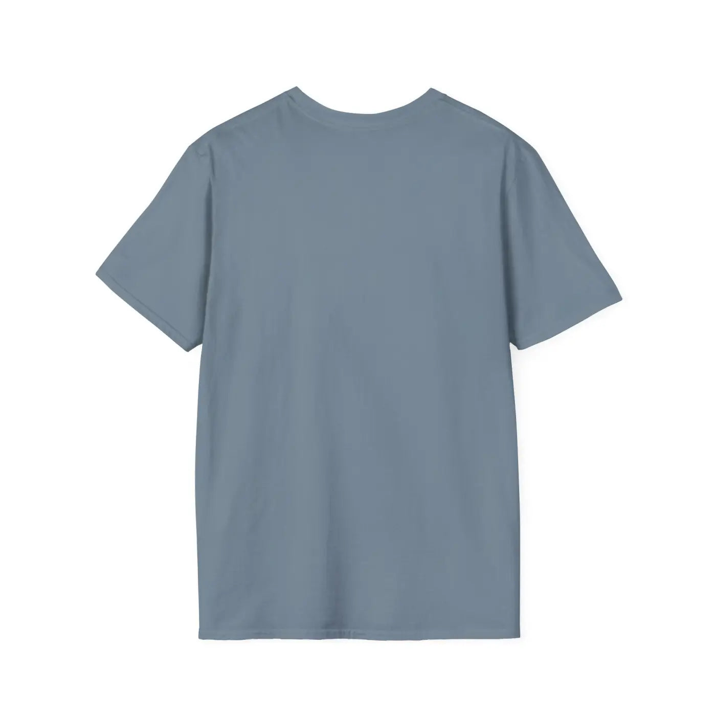 Motivational Graphic Shirt - Unisex Softstyle Summer Vibes - DipaliZ