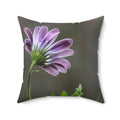 Purple African Daisy Spun Polyester Square Pillow - Home Decor - DipaliZ