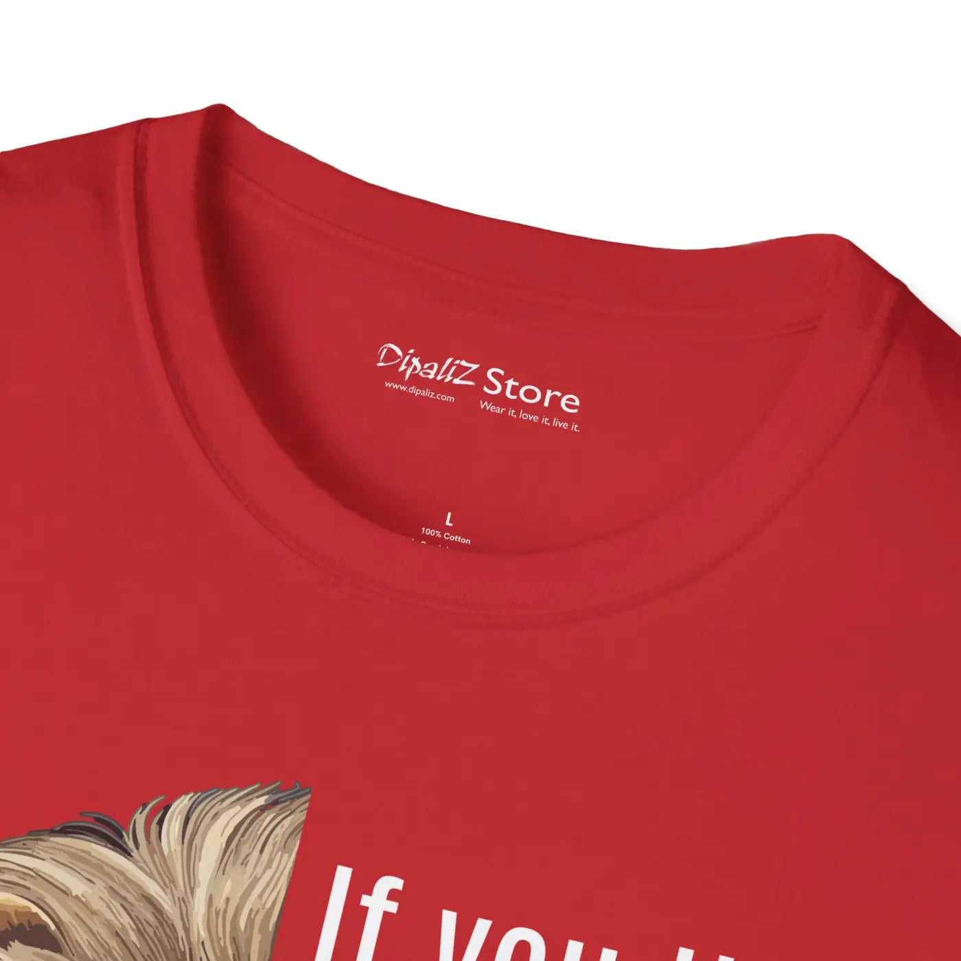 Unisex Softstyle T Shirt - Bold Fashion Statement - DipaliZ