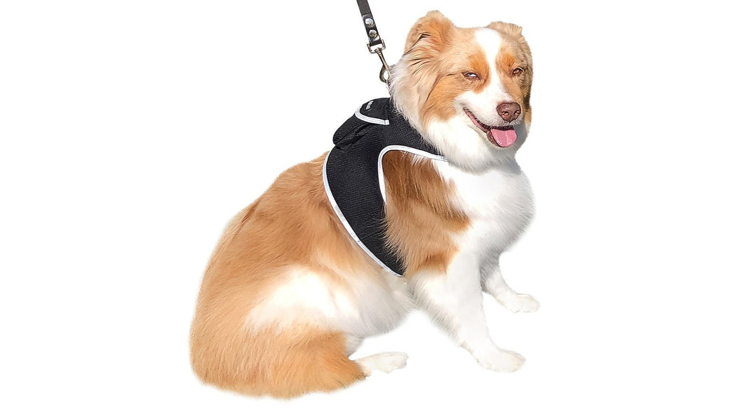 Easy Setup Waterproof Mini GPS Realtime Pet GSM GPRS Tracking Device Size:L