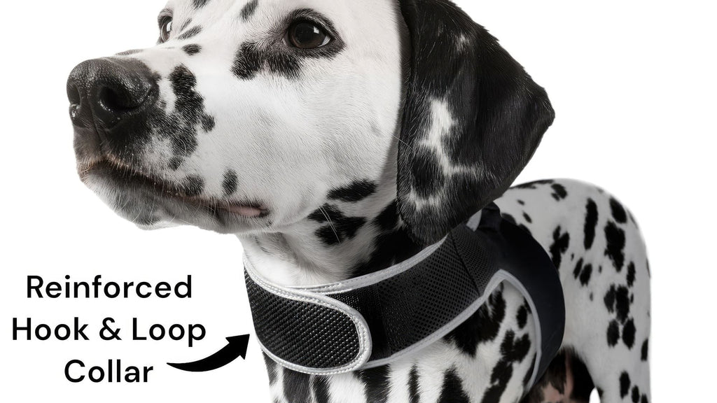 Collar Rechargeable Portable GPS Tracking Devices for Pets GSM Locator Size:XS