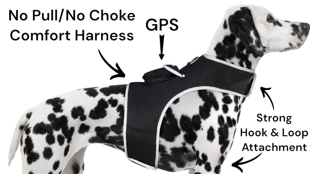 Waterproof GPS Tracker Dog Cat Rechargeable Locator with Battery Alert Size:L
