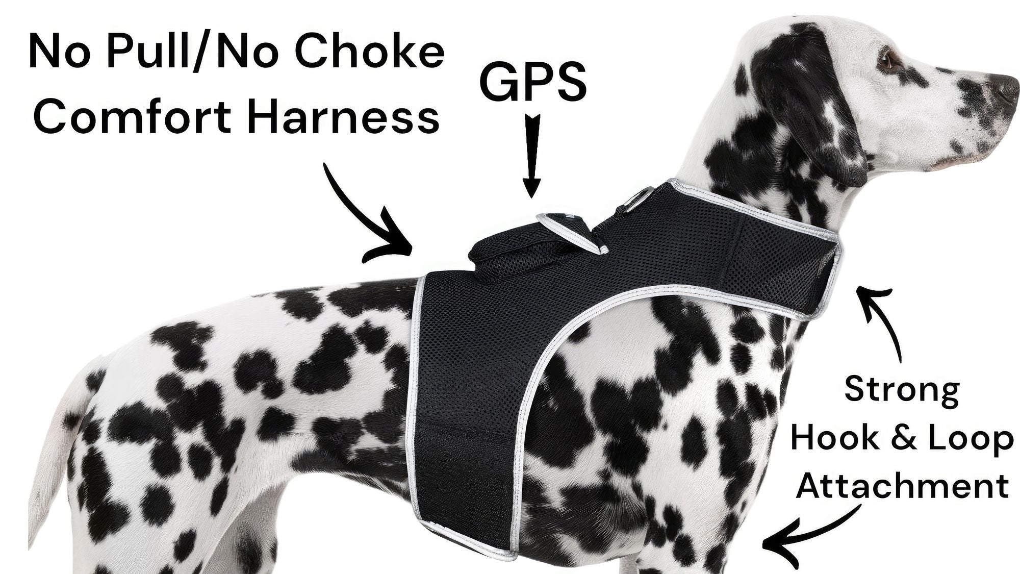 Waterproof GPS Tracker Dog Cat Rechargeable Locator with Battery Alert Size:L