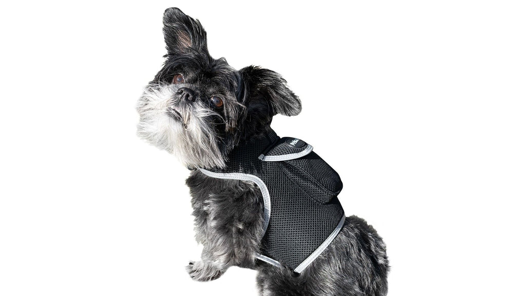 Waterproof Collar Mount Tracker Realtime GPS GSM Puppy Tracking Device Size:L