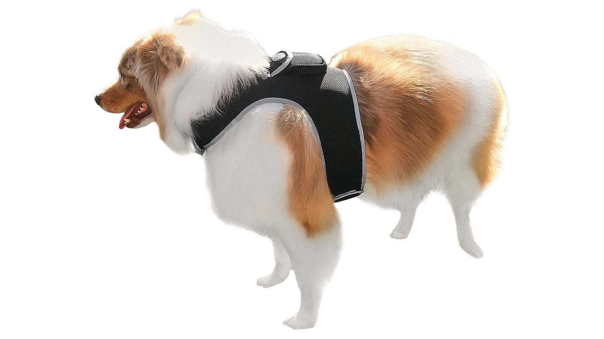 GSM GPS Animal Tracker Collar Attached Rechargeable Realtime Surveillance Gadget Size:XXL