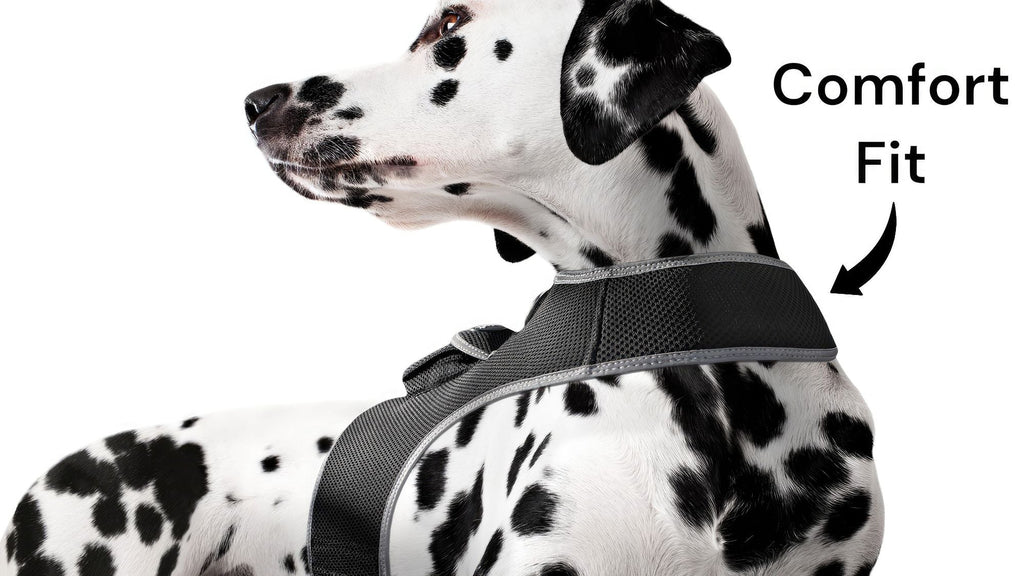 Waterproof Collar Mount Tracker Realtime GPS GSM Puppy Tracking Device Size:L