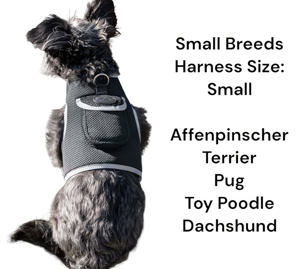 Keep Pet Safe with Pet Tracker GPS Dog Collar Tracking Device + Phone App Size:M