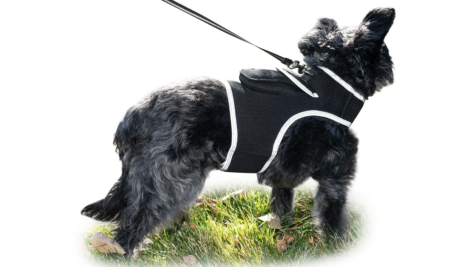 Consistent Realtime Mini Cat Dog GPS Tracking Collar Waterproof Device Size:L