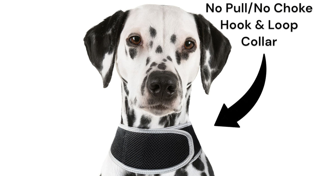 GSM GPS Animal Tracker Collar Attached Rechargeable Realtime Surveillance Gadget Size:XXL