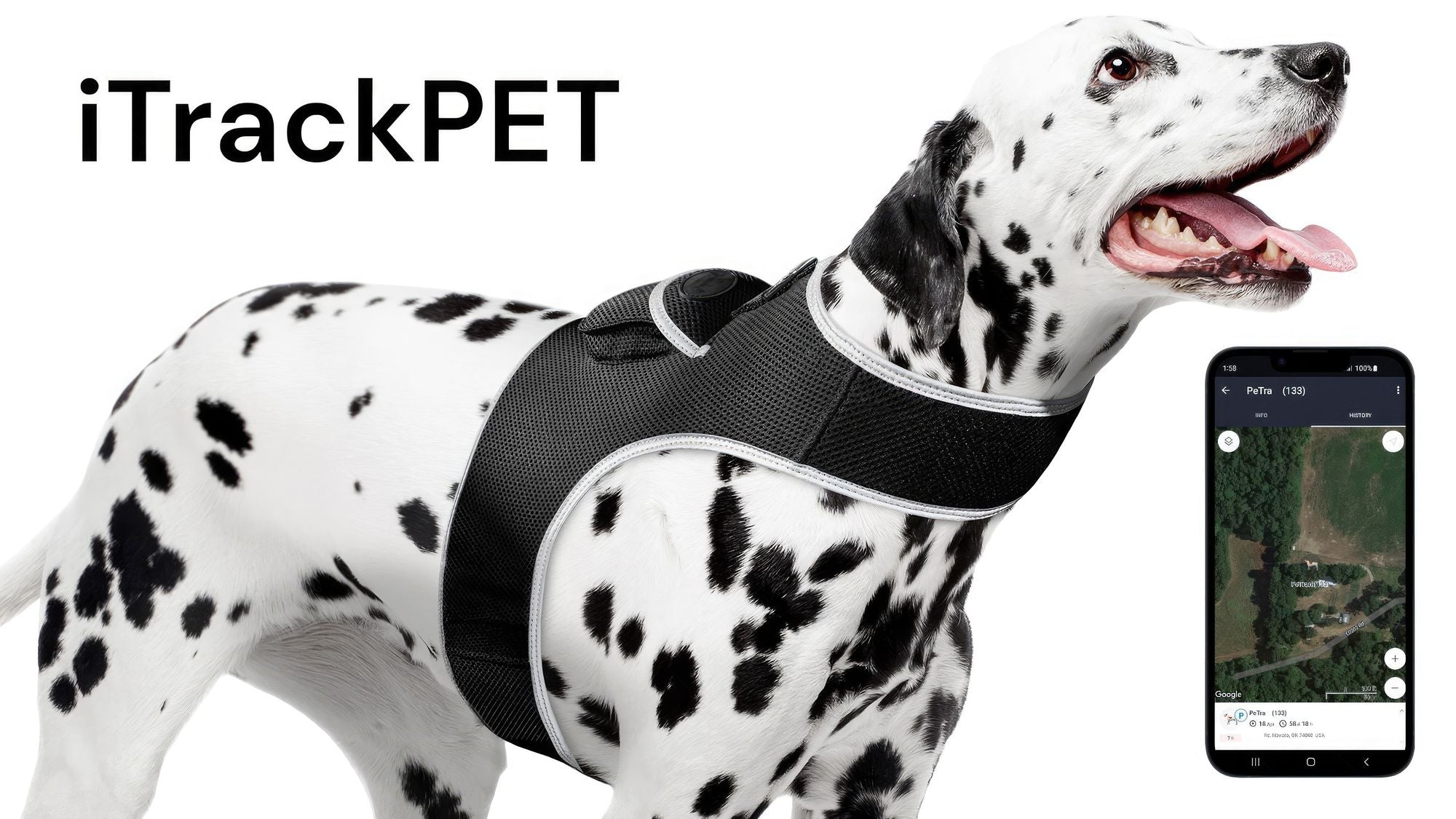 Waterproof GPS Tracker Dog Cat Rechargeable Locator with Battery Alert Size:L